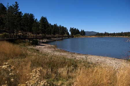 Westward View from Baker Lake at Big Bear â€” the â€œMarshâ€