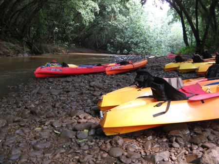 Wailua River Kayaks Parked at Secret Falls Trailhead