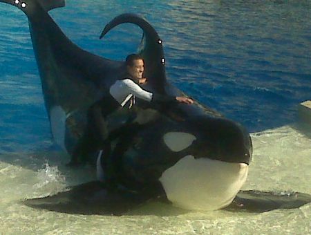 Shamu Is the God of Many