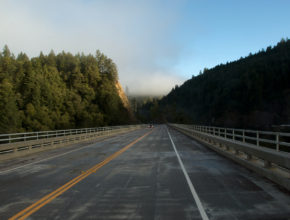 highway 101 near redwoods national park