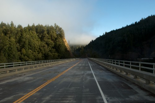 highway 101 near redwoods national park