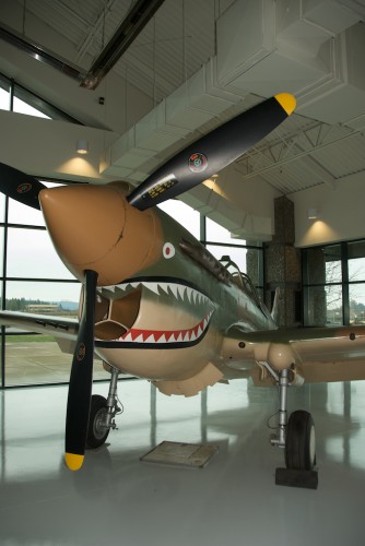 p-40 warhawk in Flying Tigers livery.