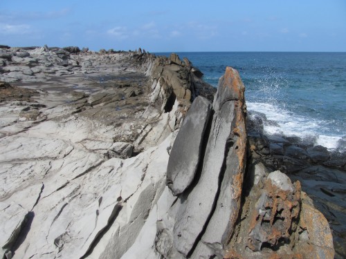 dragons teeth maui