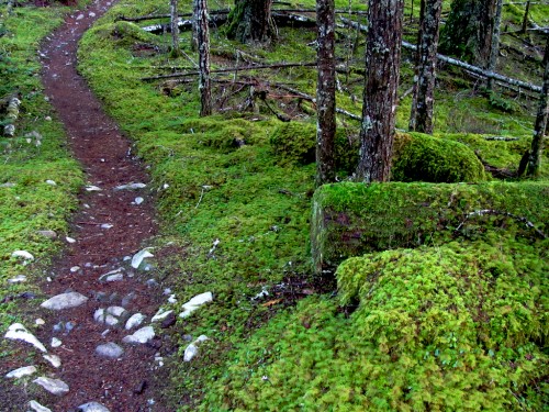 Humes Ranch Trail