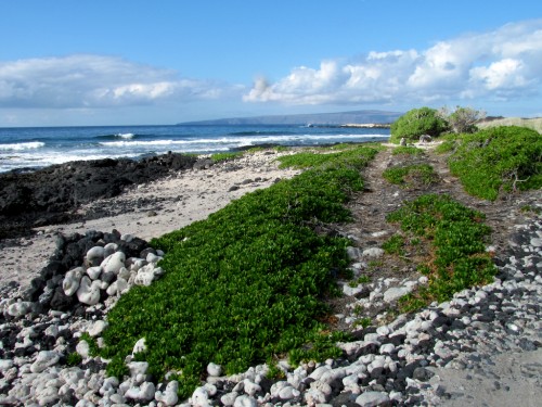 Kings Highway End Beach