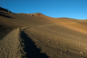 Sliding Sands Trail