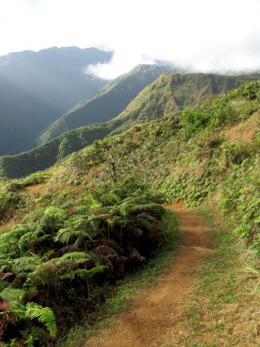 waihee ridge trail on maui