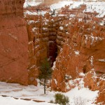 bryce-canyon-snow 2