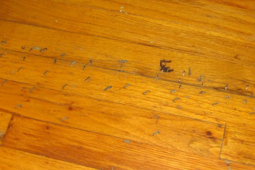 staples in a hardwood floor