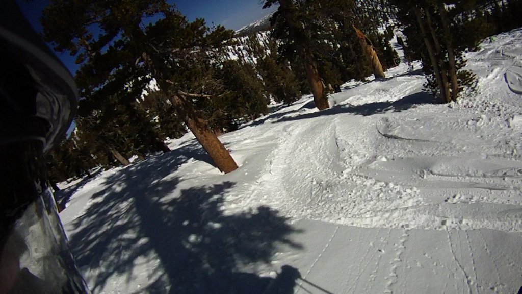 This is what the snow looked like in the trees (on the Nevada side).