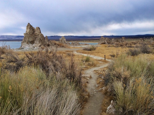 A trail leading away from the lake.