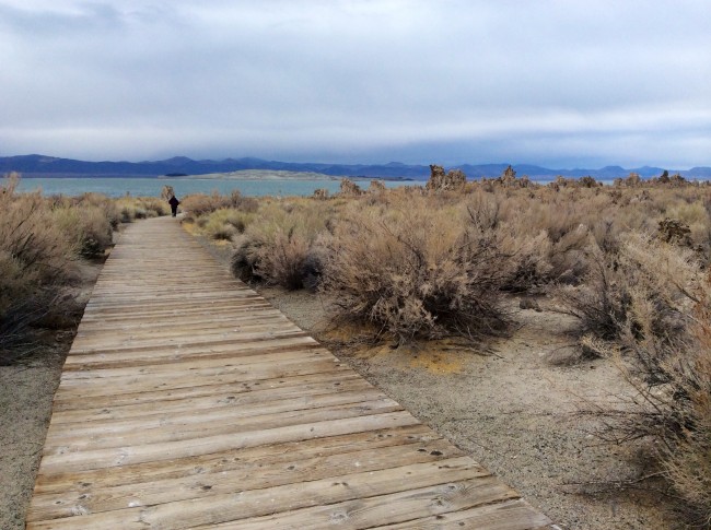 Kind of part of the same trail, only this one leads *toward* the lake.