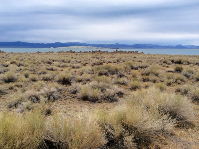 Mono Lake.