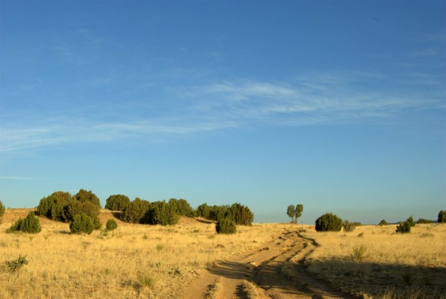 Black Mesa Trail