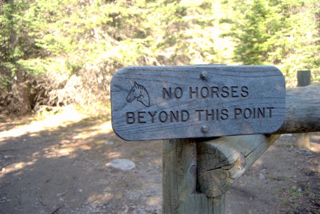 No Horses Sign