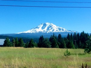 Mt. Adams from NF-23