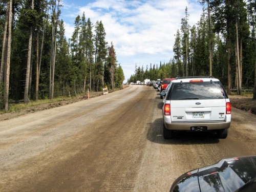 Yellowstone traffic