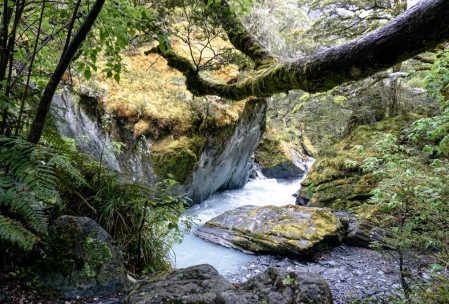 En route to Rob Roy Glacier