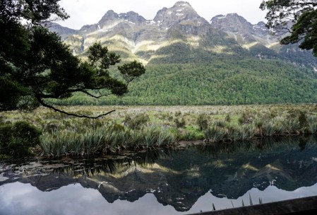 Mirror Pond on the way to Milford Sound