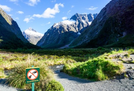 First there would have to be a kea for me not to feed it.