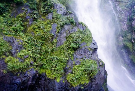 Sterling Falls in Milford Sound