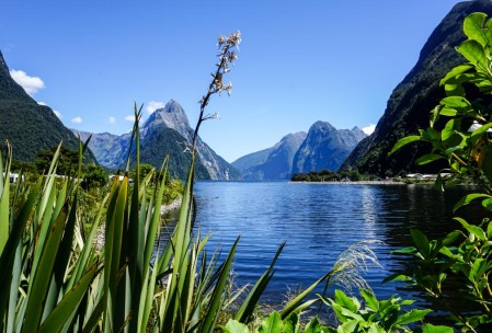 Sunny day on Milford Sound, looking out from the port.