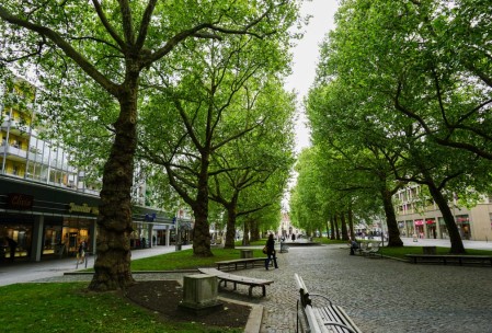 Dresden Neustadt Fußgängerzone