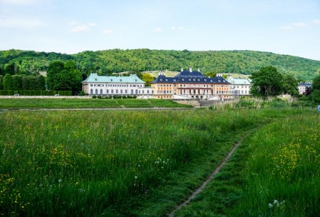 Schloß Pillnitz from the Radweg