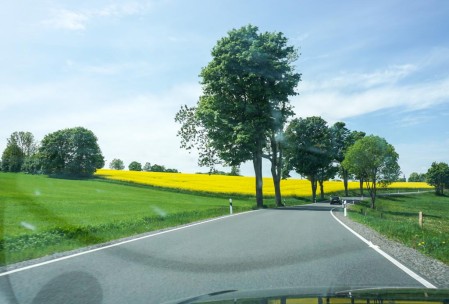 Landstrasse with rapeseed in full bloom.