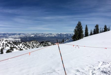 Top of Alta.