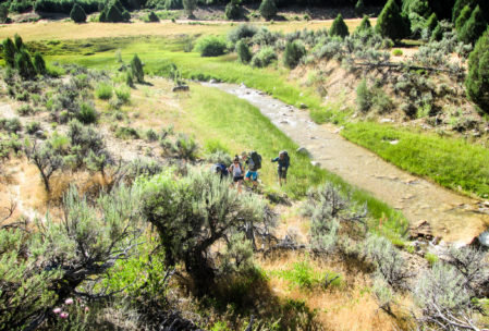 The first part of the trail isn't actually all that narrow.