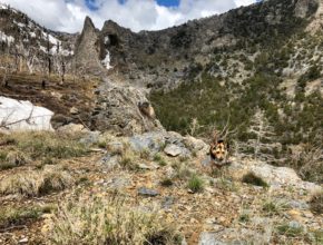 Lexington Arch - Great Basin