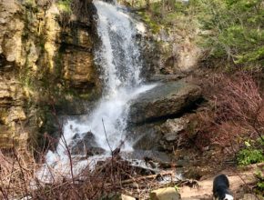 Richards Hollow Falls